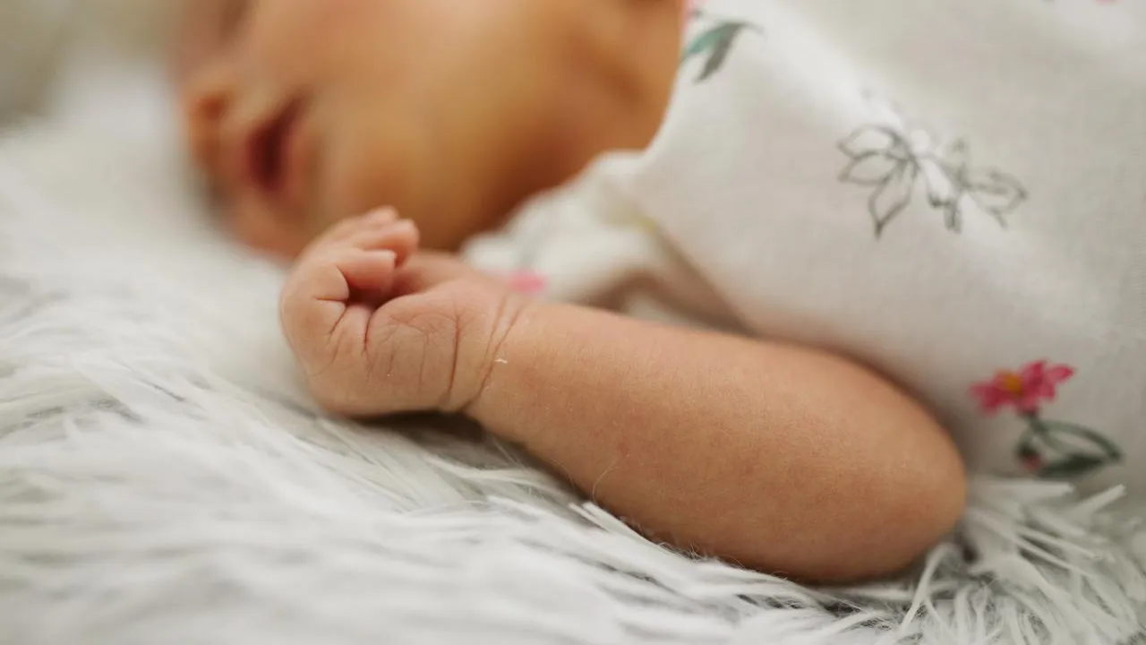 istockphoto.com/bojanstory