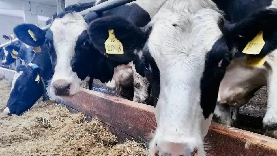 Фото: Пресс-служба Министерства сельского хозяйства и продовольствия МО