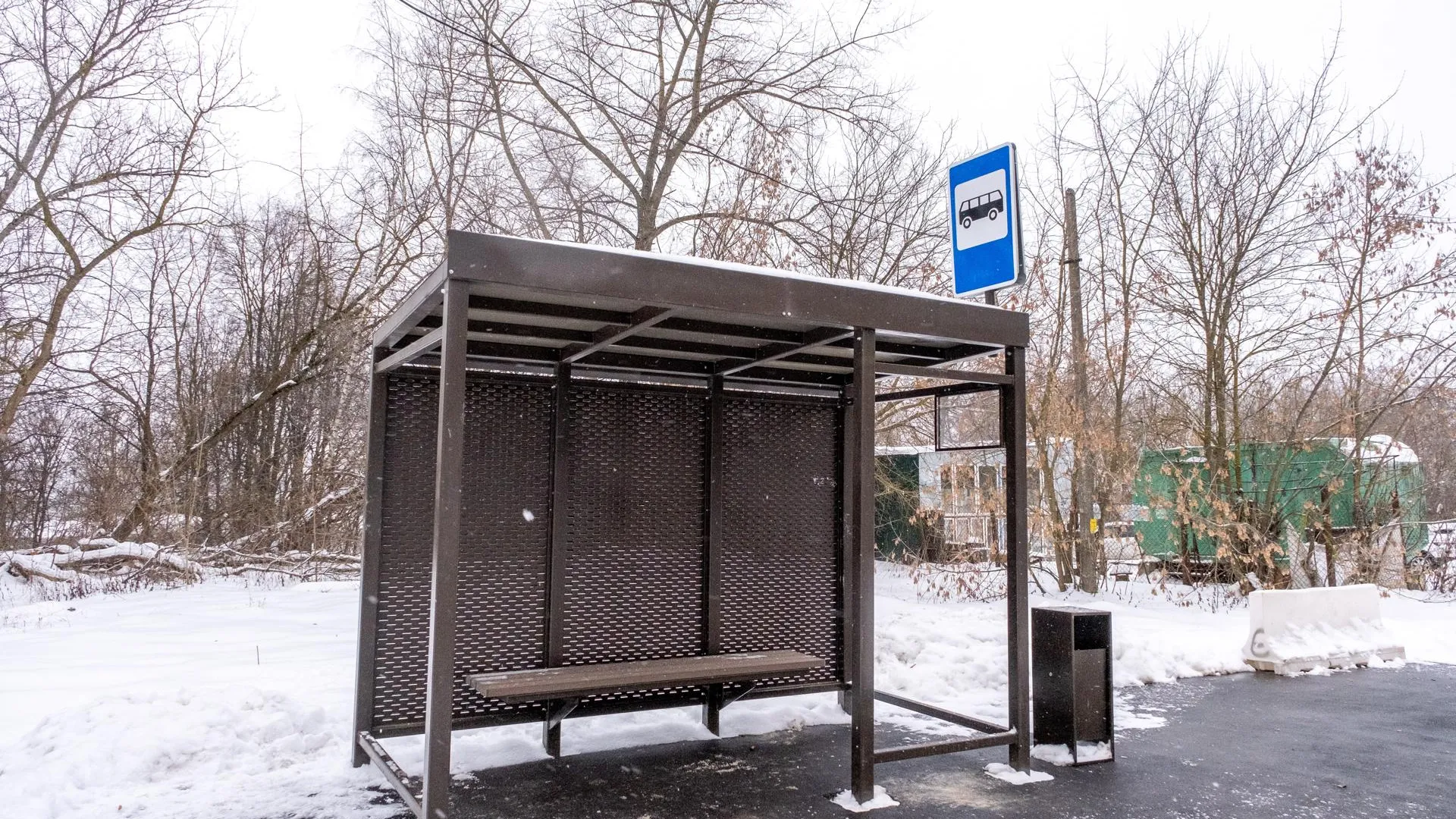 Антон Шаманин