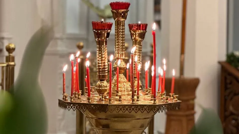 Фото: пресс-служба губернатора Московской области