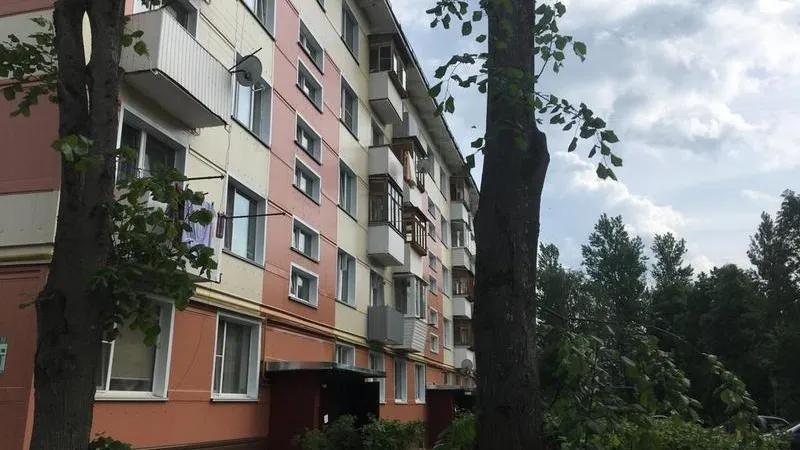 Пресс-служба Дмитрия Пестова