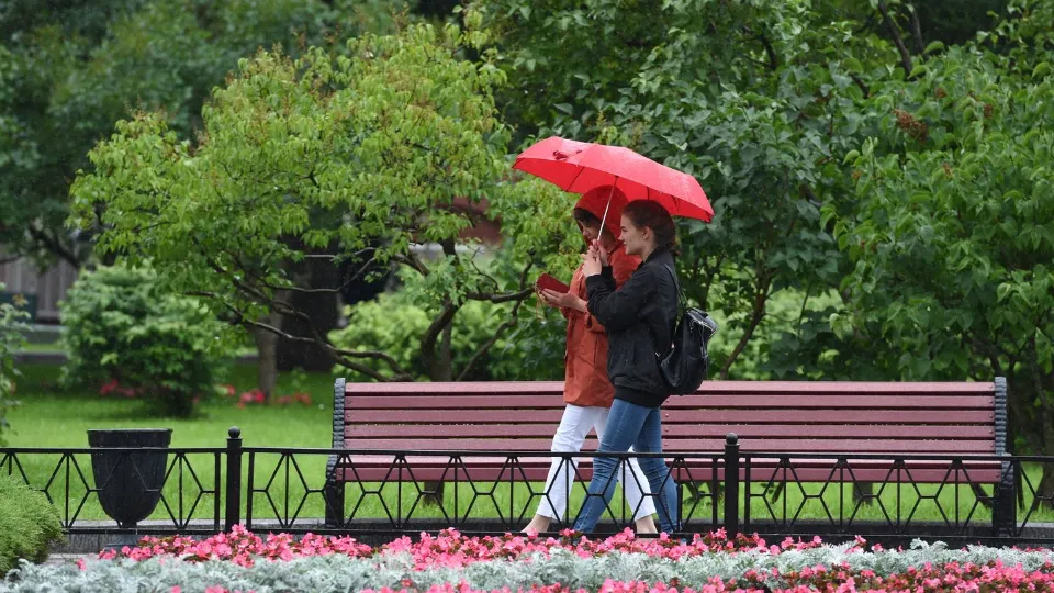 Фото: медиасток.рф