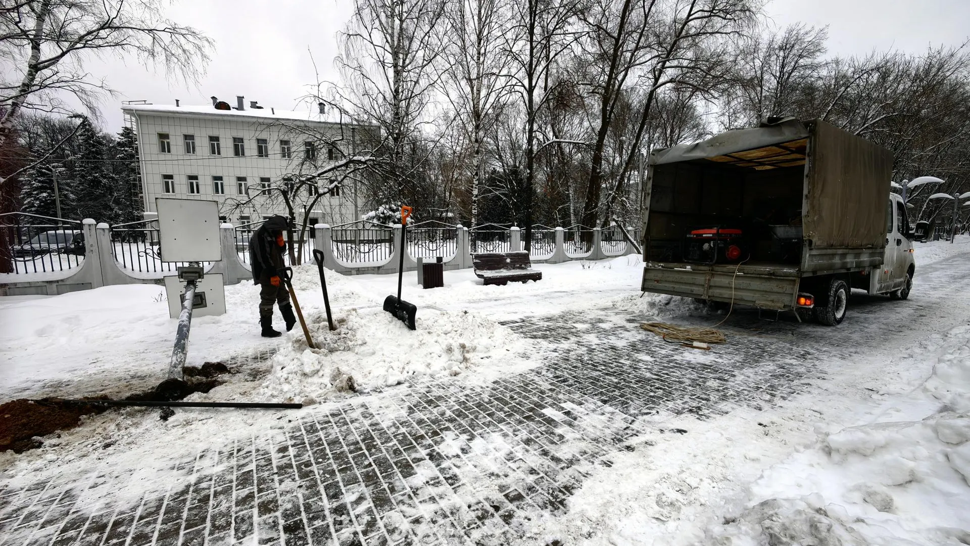 Елена Катасонова