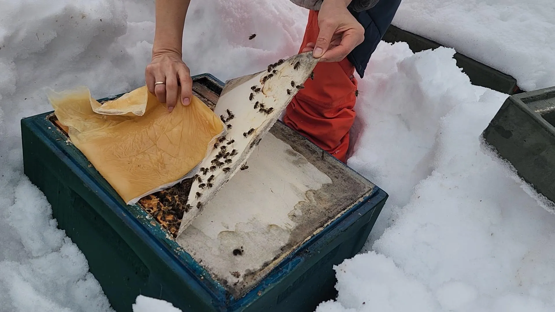 МедиаБанк Подмосковья/Валентина Максимова