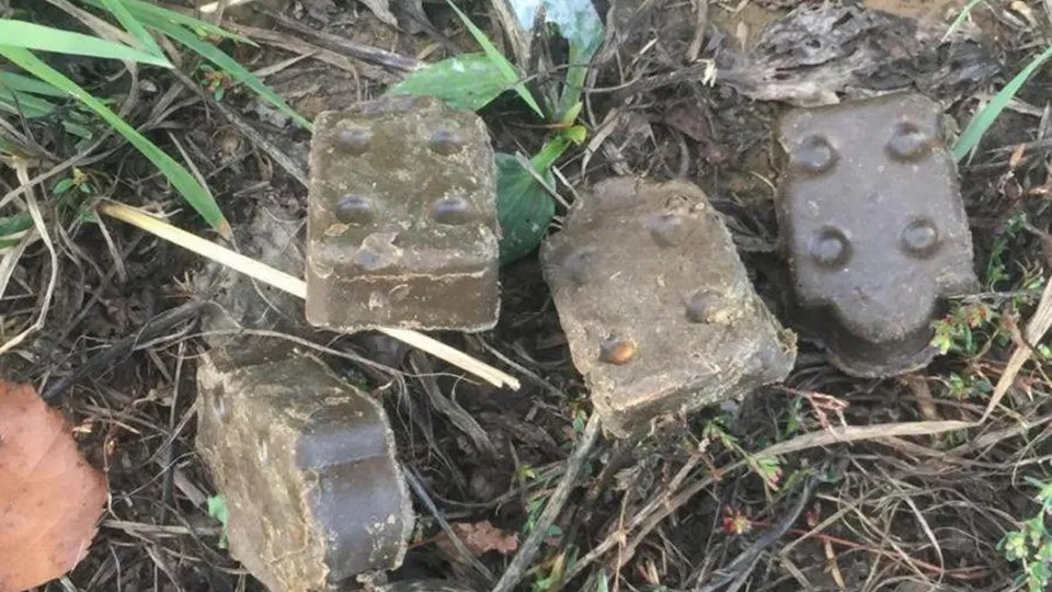 Фото: Станция по борьбе с болезнями животных