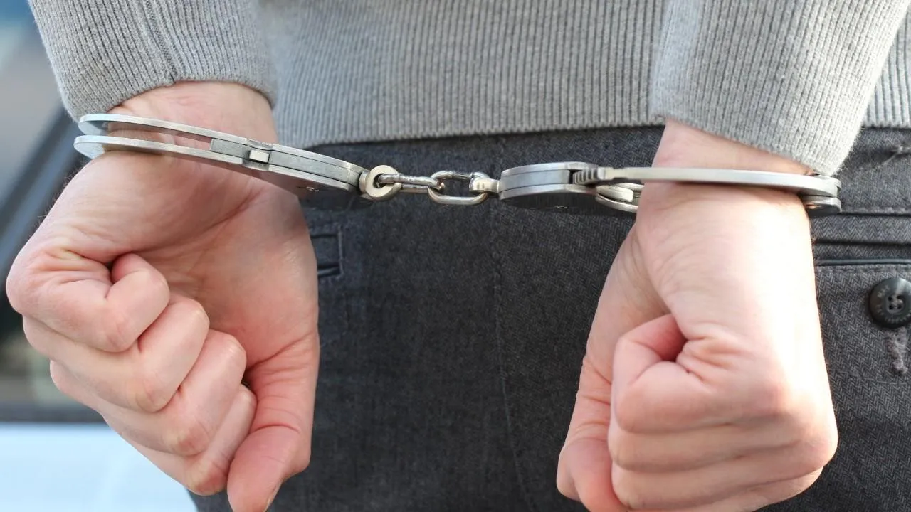 В Венгрии арестовали жителя Норвегии, планировавшего массовое убийство