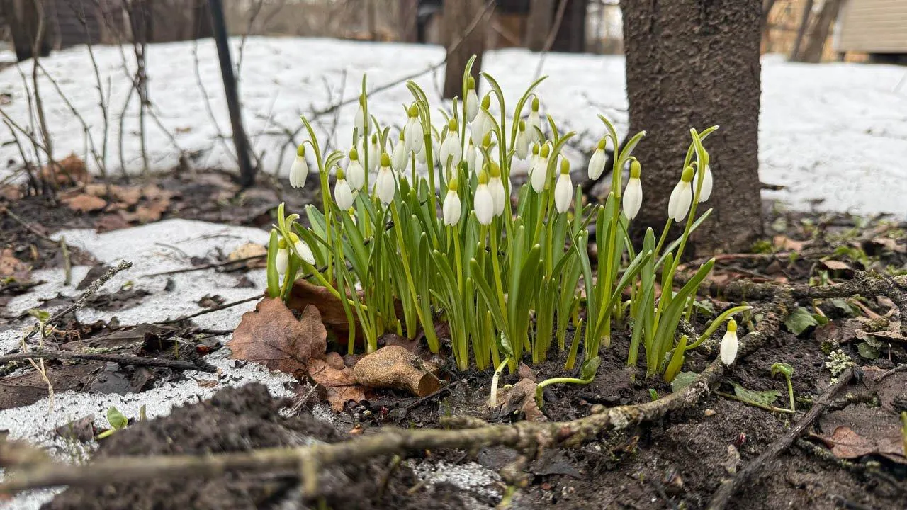 REGIONS/Анастасия Малышенко