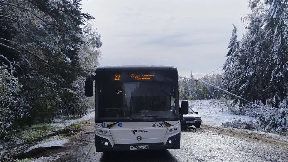 Фото: администрация г.о. Солнечногорск