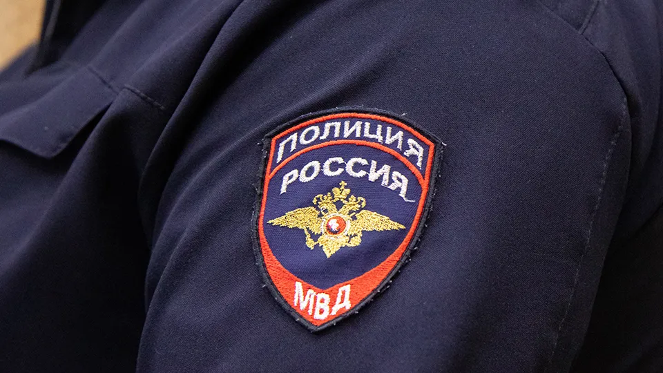 Фото: МедиаБанк Подмосковья/Анастасия Харченко