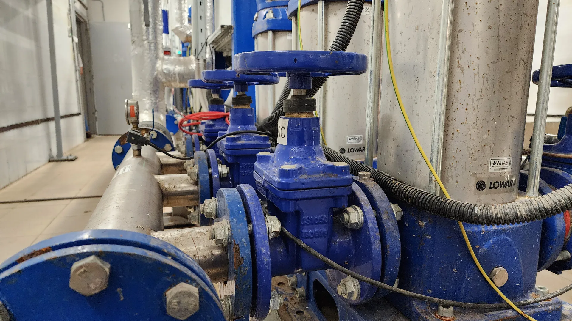 Фото: МедиаБанк Подмосковья/Фельдфебелева Ольга