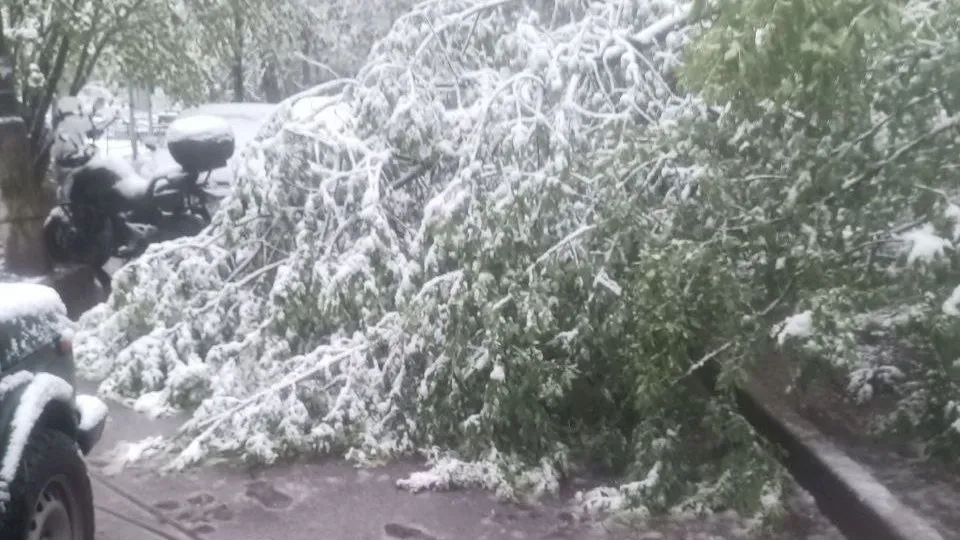 Фото: администрация г.о. Краснознаменск