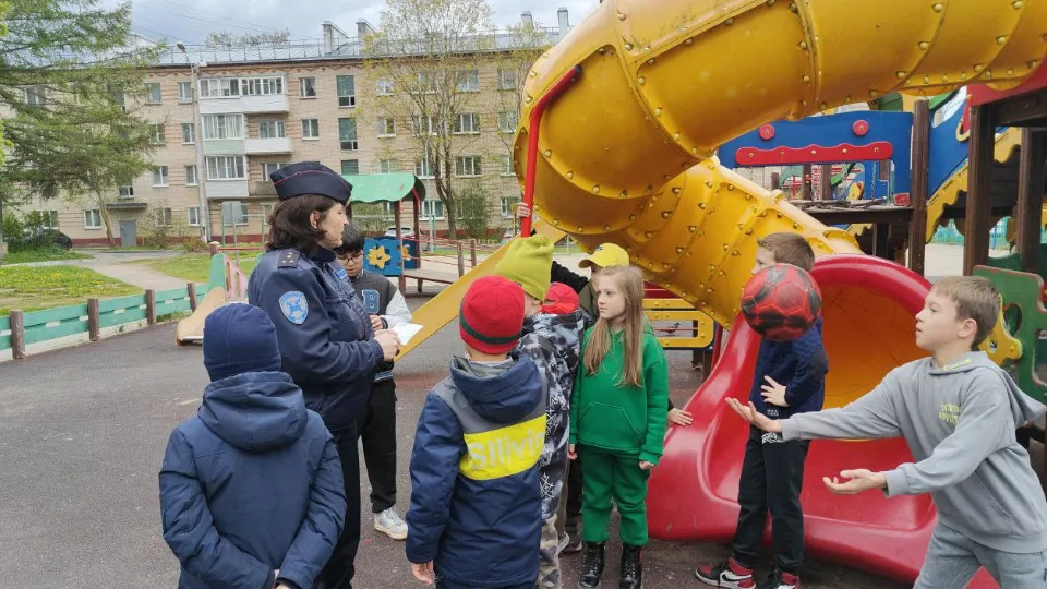 Фото: t.me/ruza_police