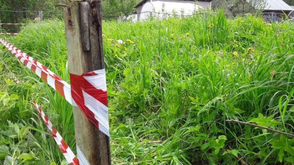 Фото: Медиабанк МО