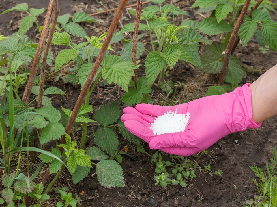 Фото: istockphoto.com/Vitalii Marchenko&nbsp;