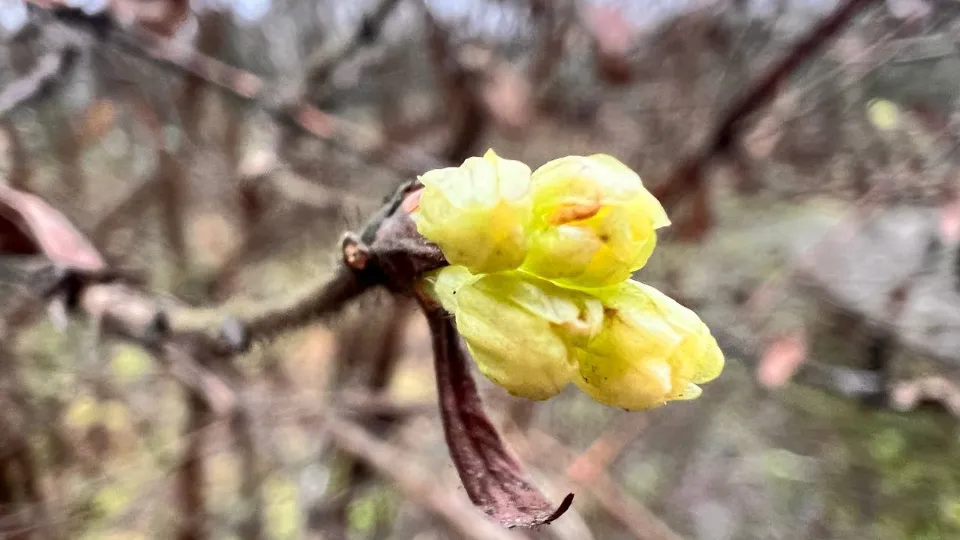 Фото: пресс-служба национального парка «Лосиный остров»/Анна Ткачева