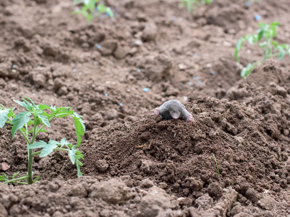 Фото: istockphoto.com