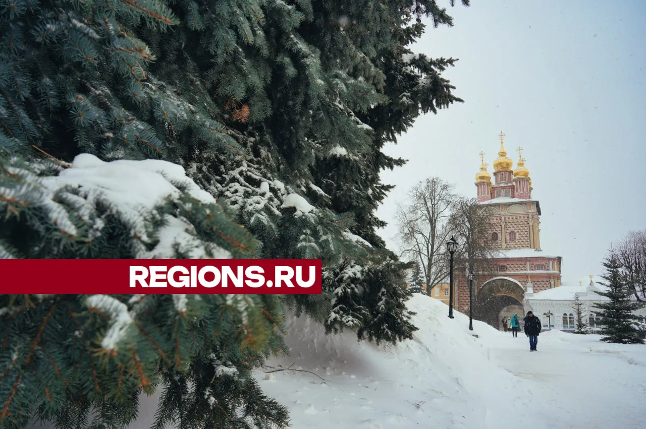 Фото: Дмитрий Зайчиков