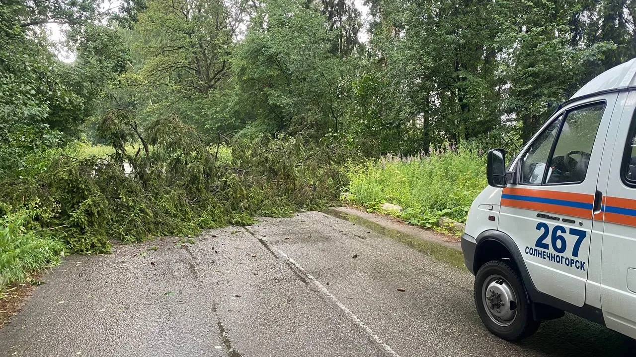 Фото: ГКУ МО «Мособлпожспас»