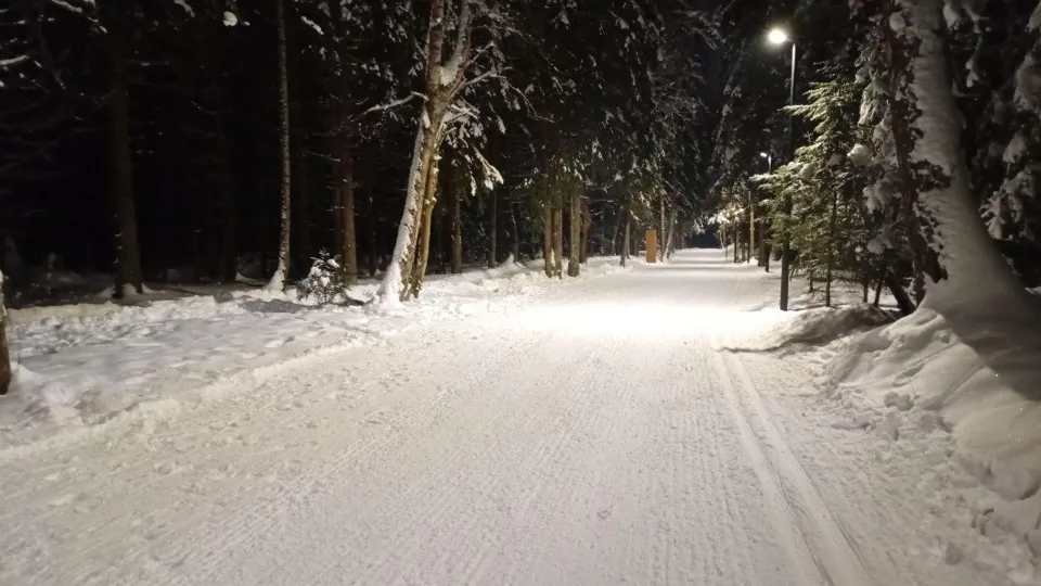 Фото: пресс-служба администрации м.о. Истра