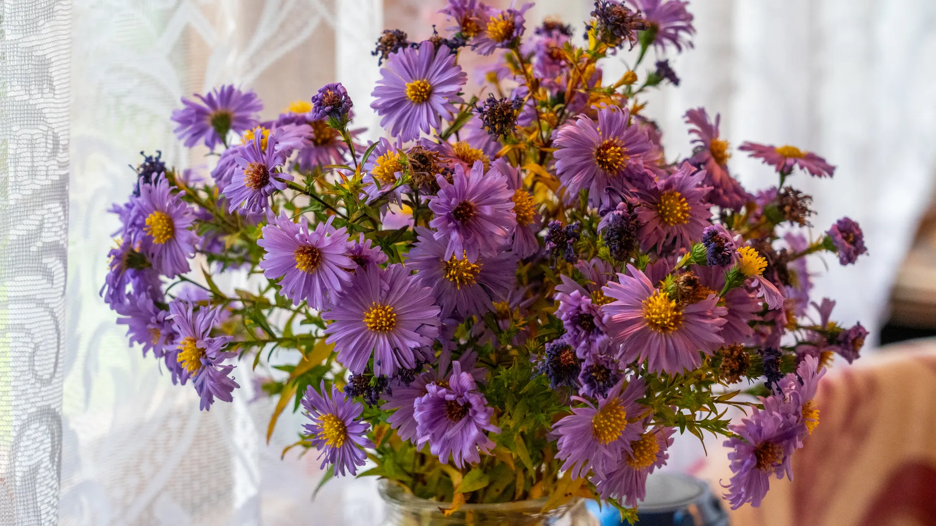 Букет полевых цветов на даче в Подмосковье осенью