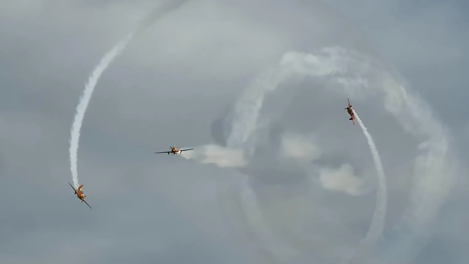 Фото: Медиабанк Подмосковья/Ольга Стаферова