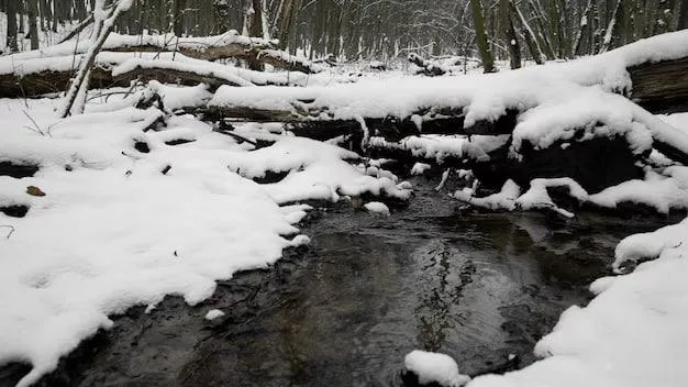 Фото Минэкологии