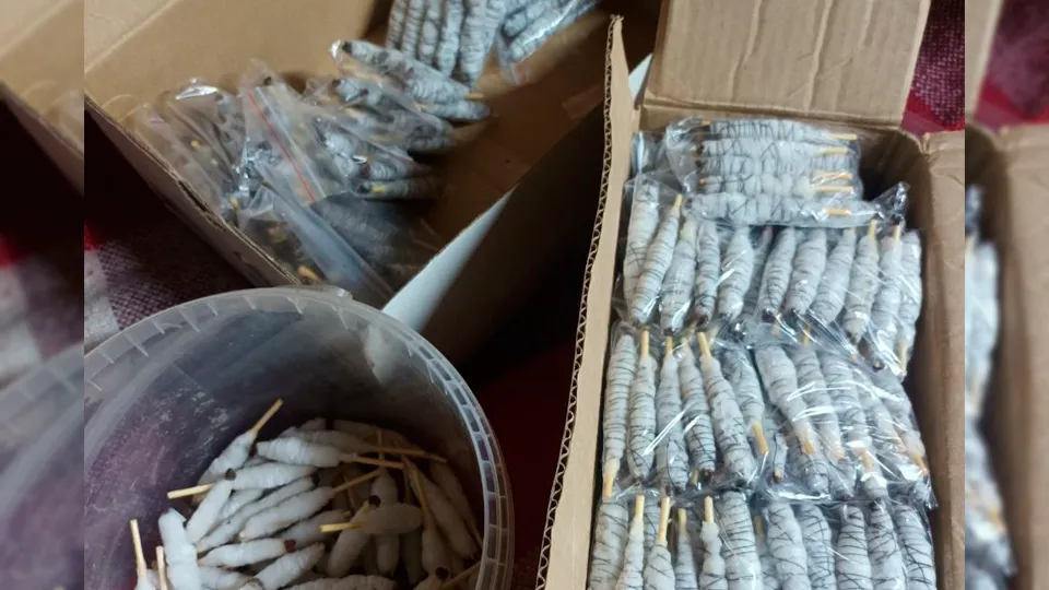 Фото: vk.com/hram_nizkoe