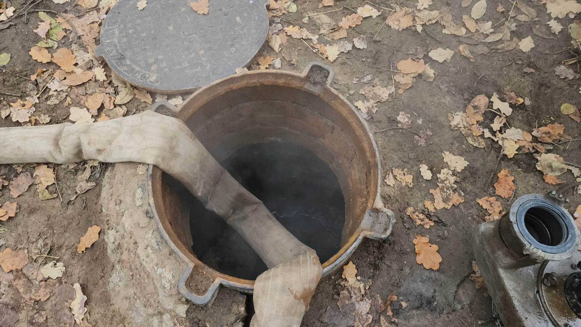 Фото: МедиаБанк Подмосковья/Иван Чижов