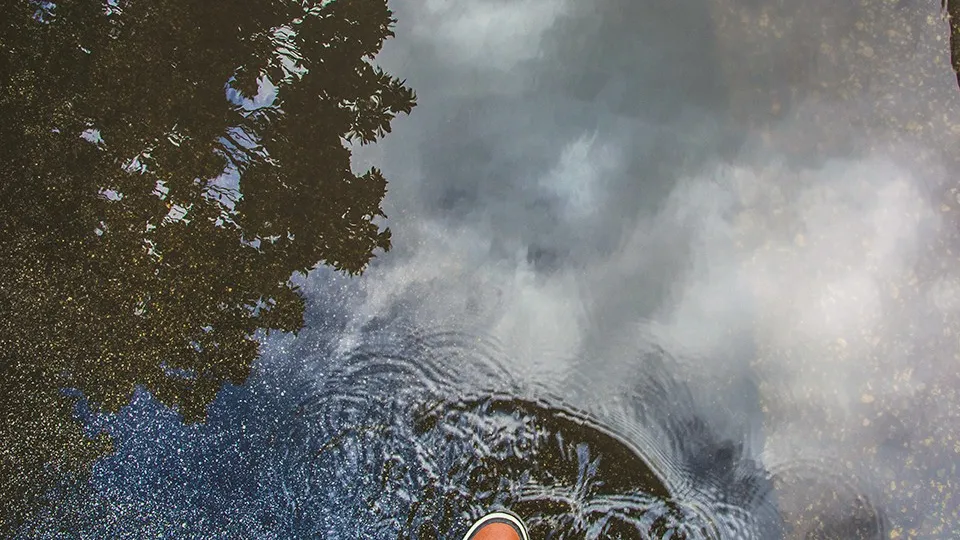 Фото: pxhere.com