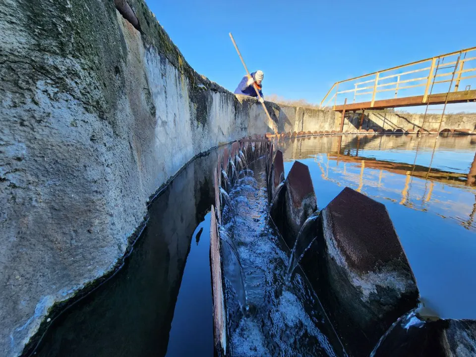 Фото: МедиаБанк Подмосковья/Яна Шаливская