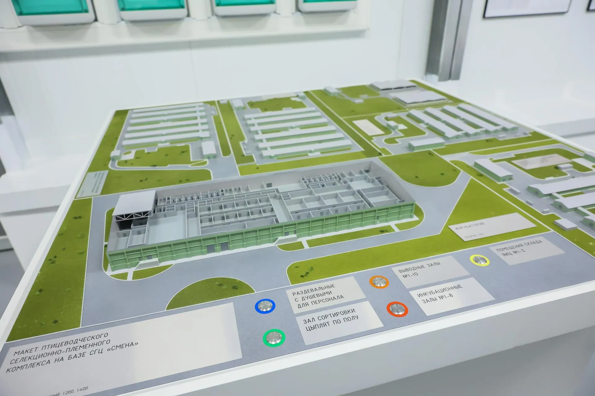 Фото: Константин Семенец