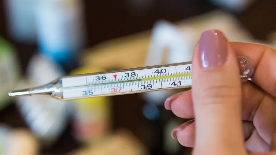 Фото: медиасток.рф