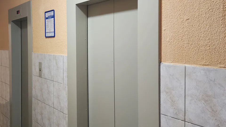 Фото: МедиаБанк Подмосковья/Роман Савельев