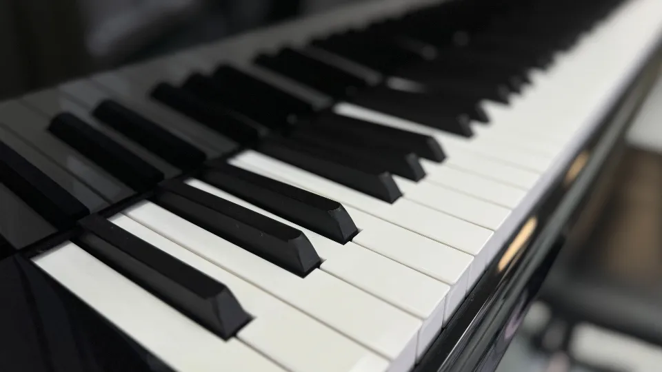 Фото: МедиаБанк Подмосковья/Полина Абраменко