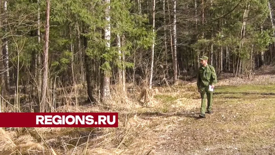 Фото: Данила Кирьянов