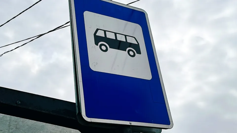 Фото: МедиаБанк Подмосковья/Данила Кирьянов