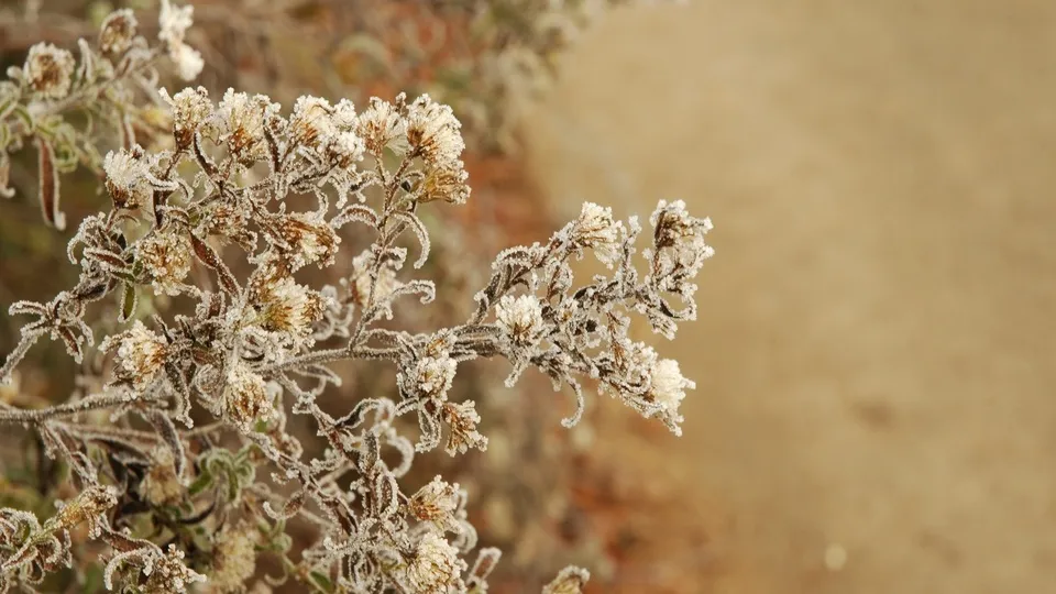 Фото: pxhere.com