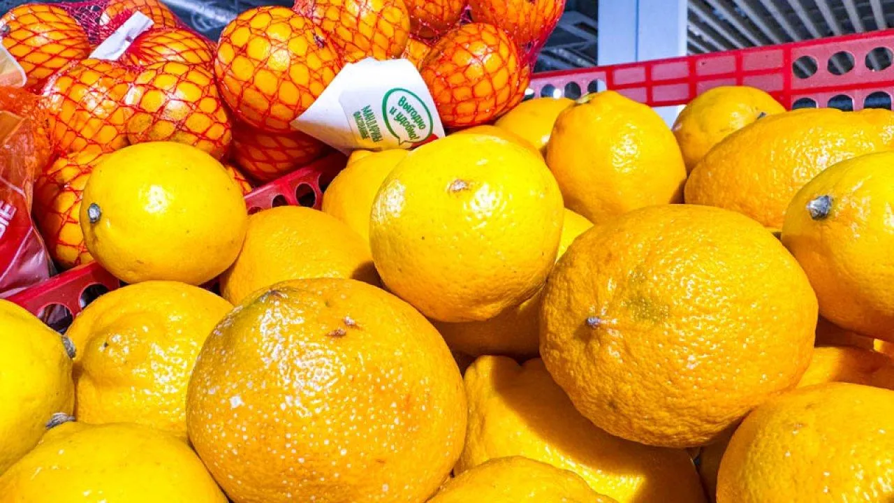 REGIONS/Владимир Ерастов