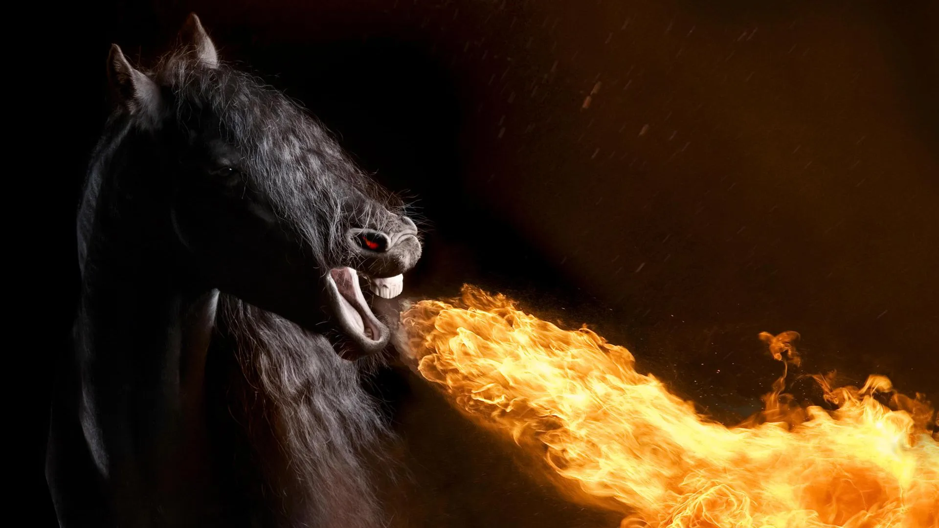 Alessandra Sarti/imageBROKER.com