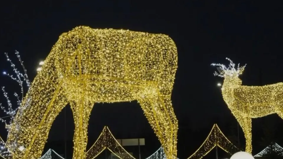 Фото: пресс-служба администрации м.о. Истра