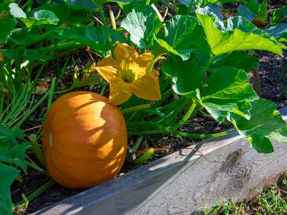 Фото: istockphoto.com