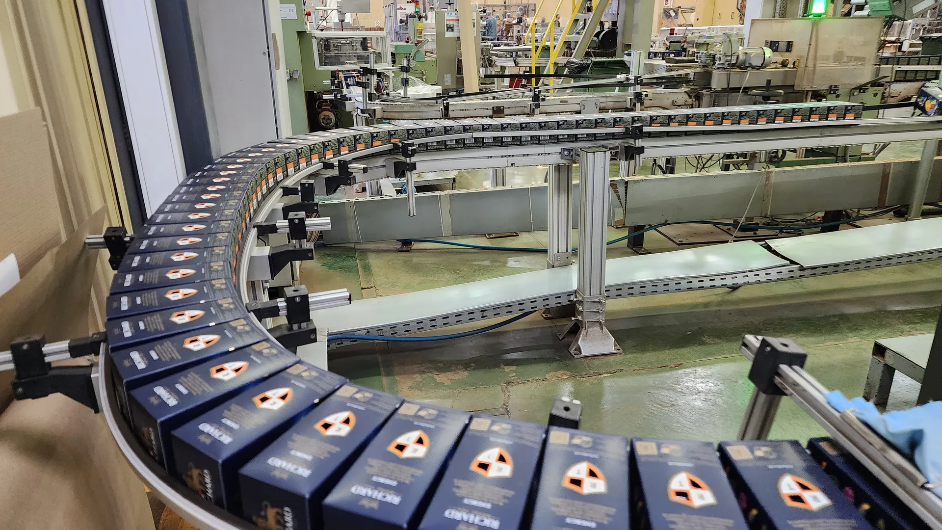 Фото: REGIONS/Наталья Дорошева