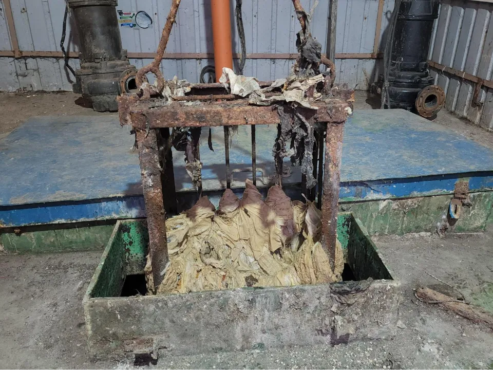 Фото: МедиаБанк Подмосковья/Наталья Лымарь