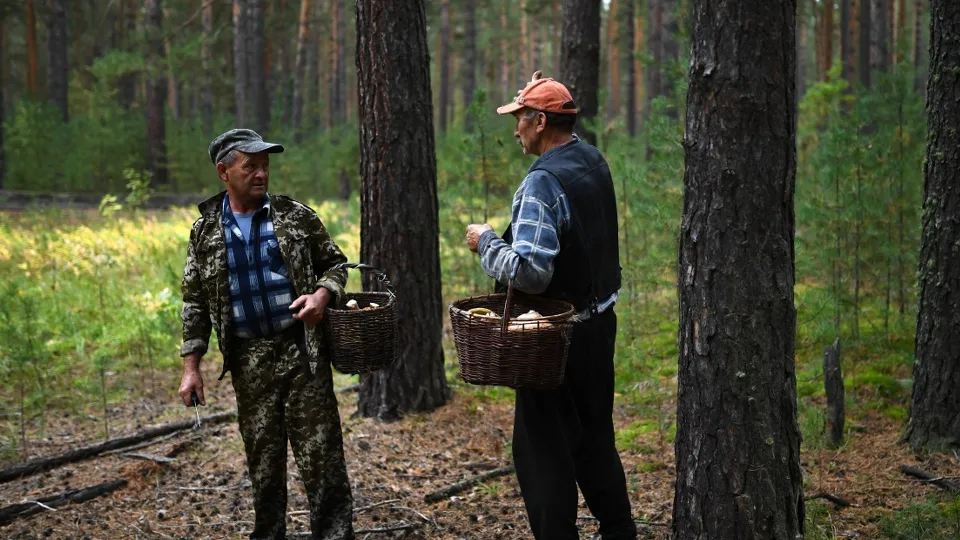 Фото: РИА Новости/Александр Кряжев