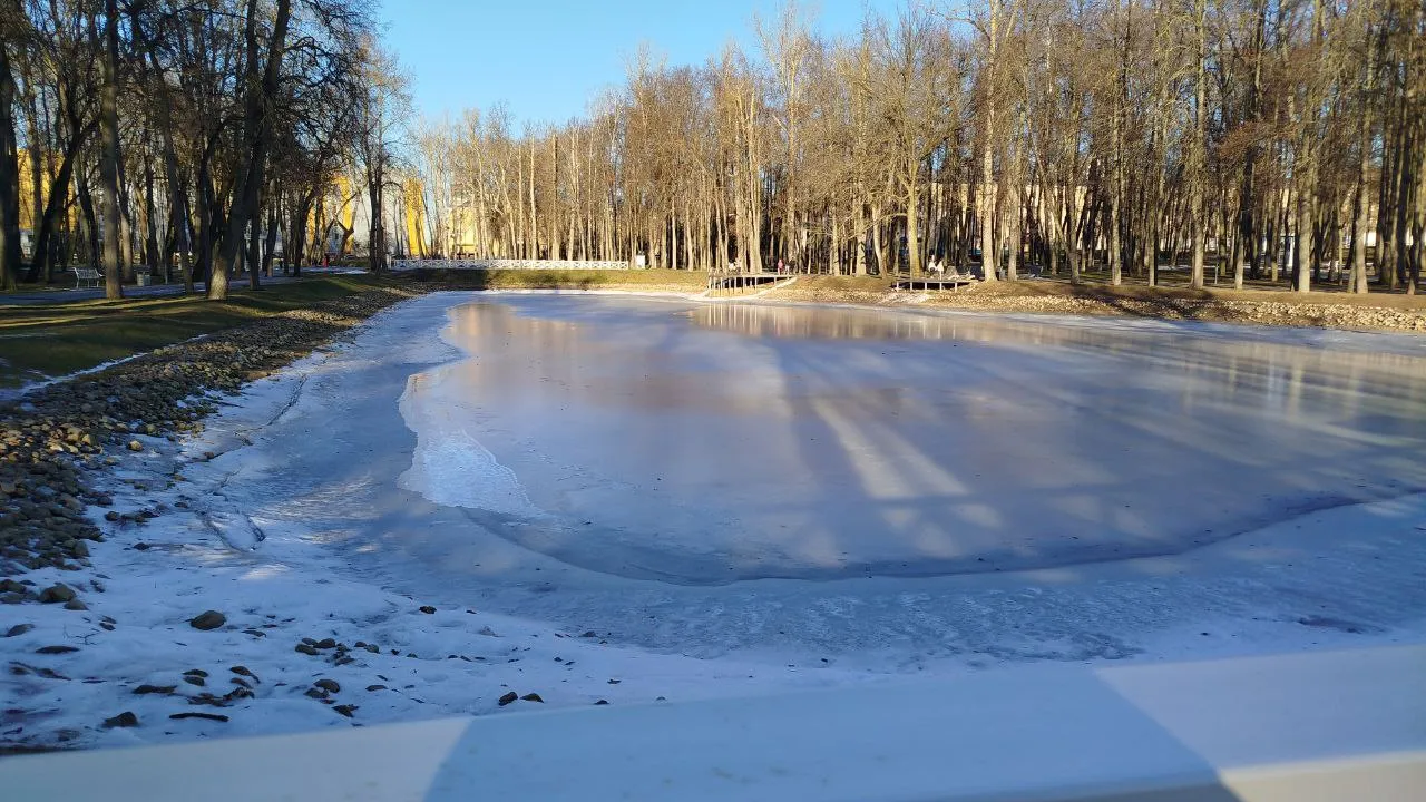 Фото: REGIONS/Наталья Дорофеева