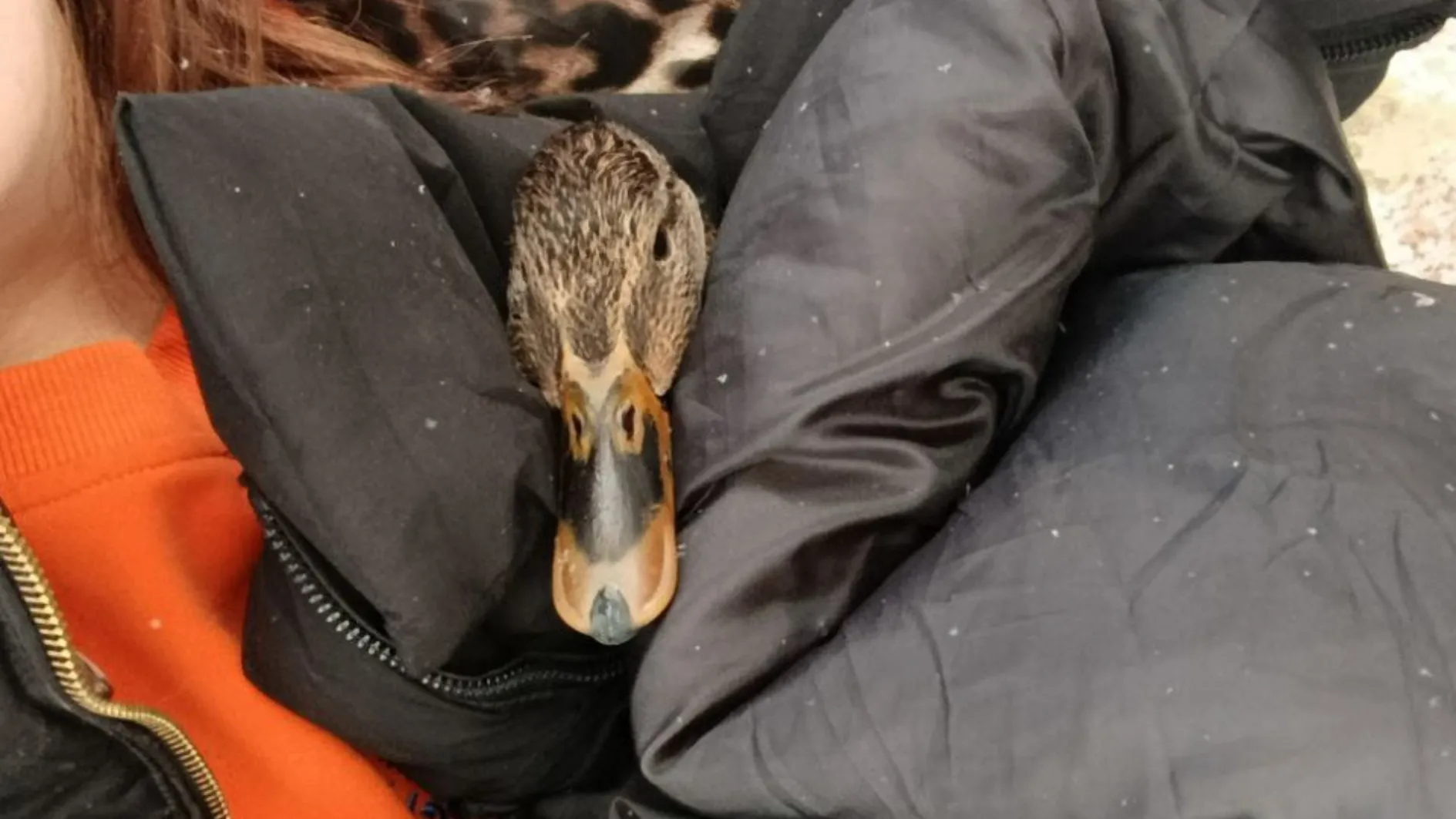 Фото: Эмма Чугунова