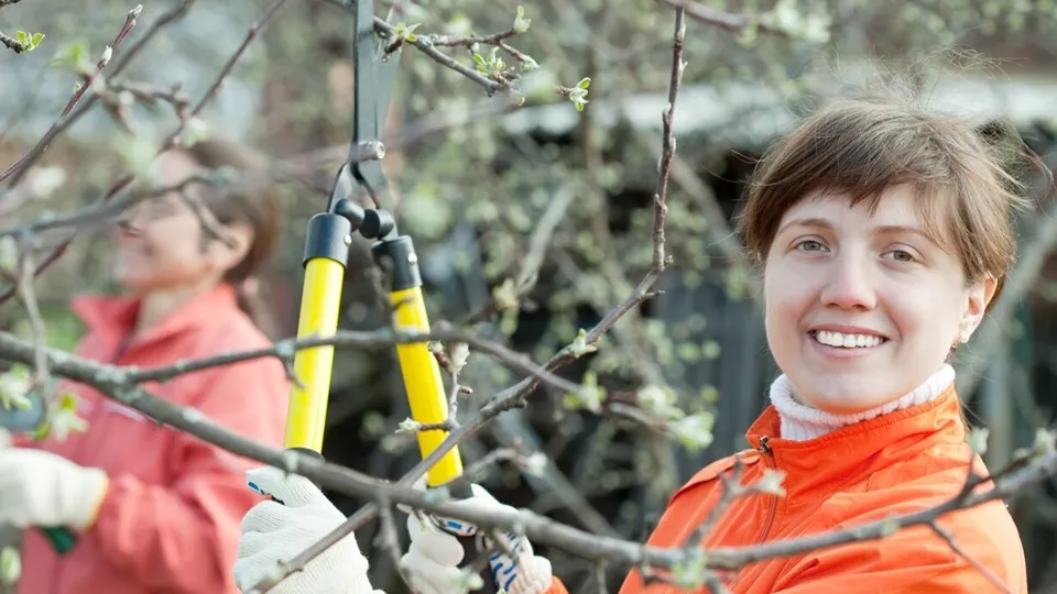 Фото: freepik.com