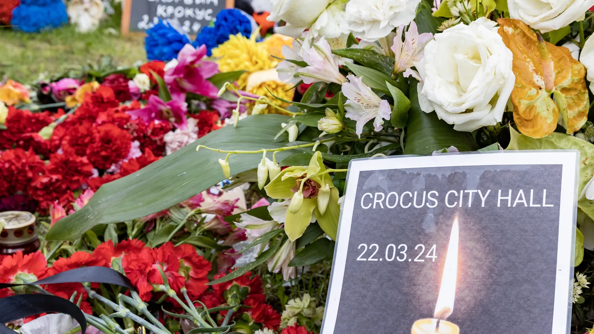 Фото: ТАСС/Алексей Смышляев