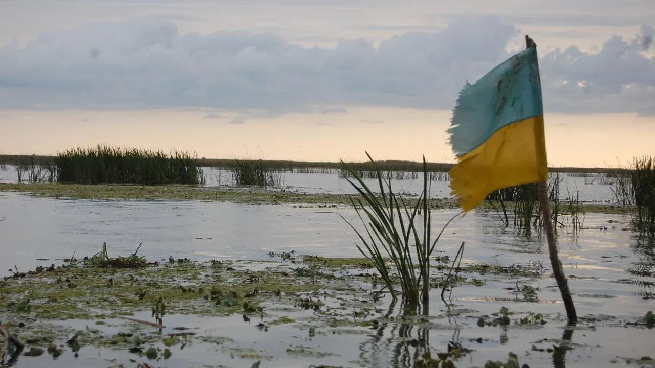 Экс-полковник СБУ Стариков озвучил дату урегулирования кризиса на Украине