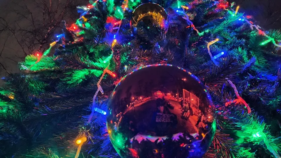 Фото: МедиаБанк Подмосковья/Мария Шигорева